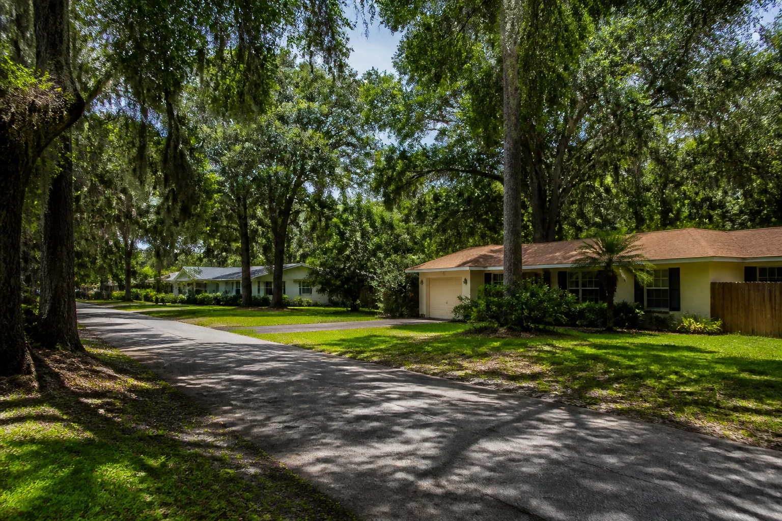 Modest Florida homes framed by cypress trees and palms