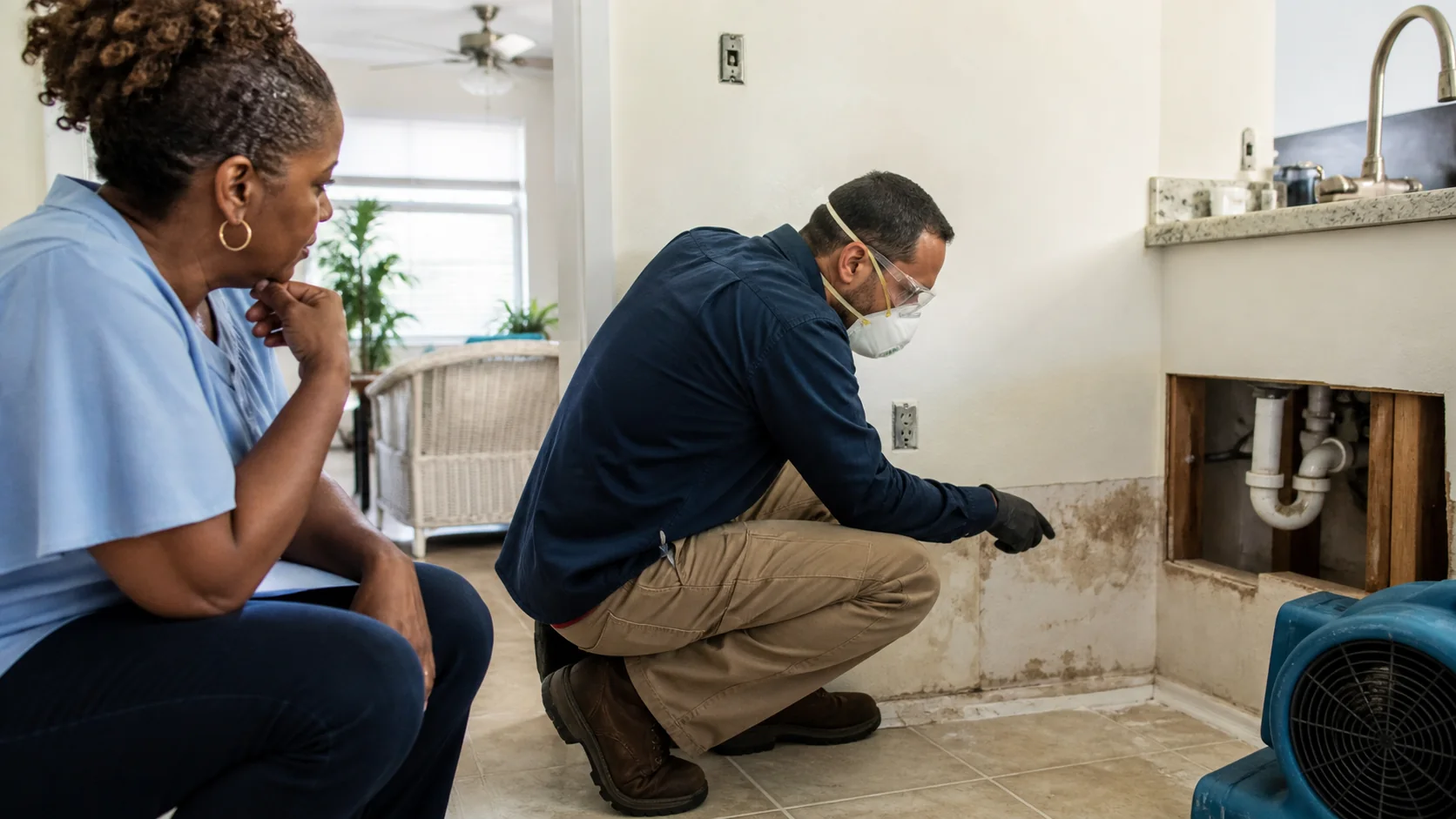 Mold Coverage