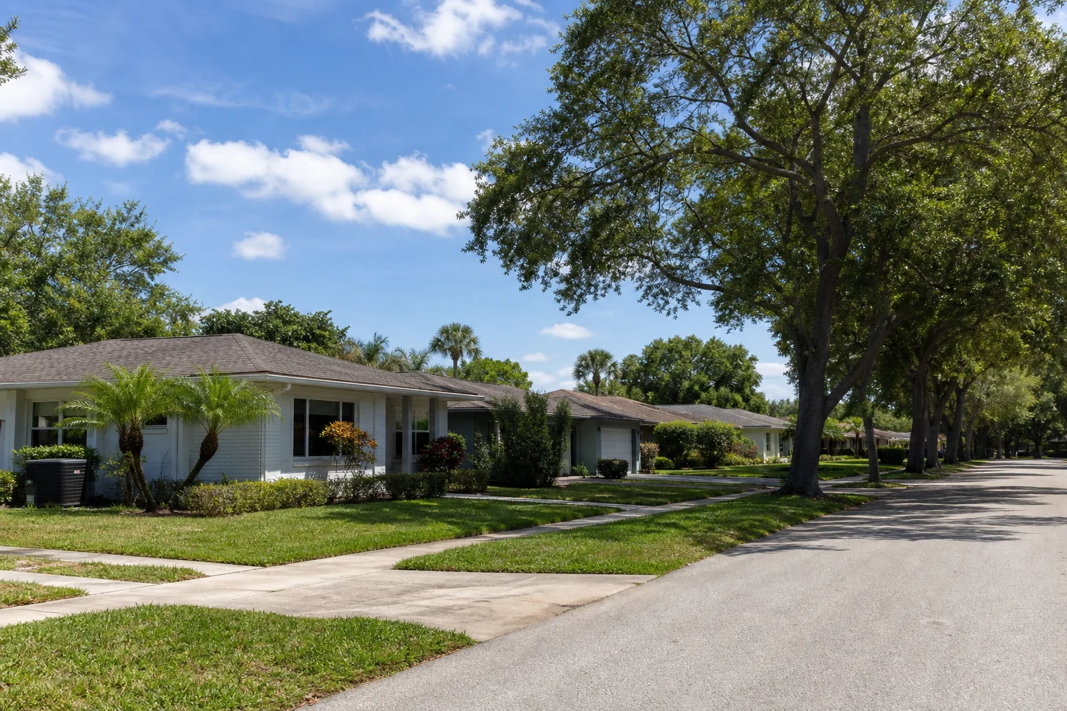 Established Florida bungalow neighborhood with mature tropical landscaping