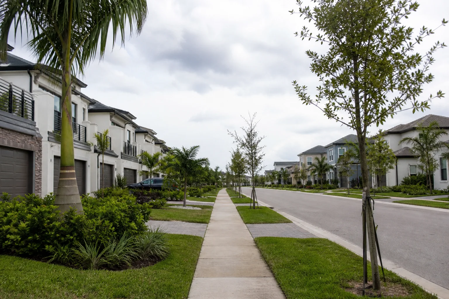 Contemporary but modest Florida starter homes with young palms